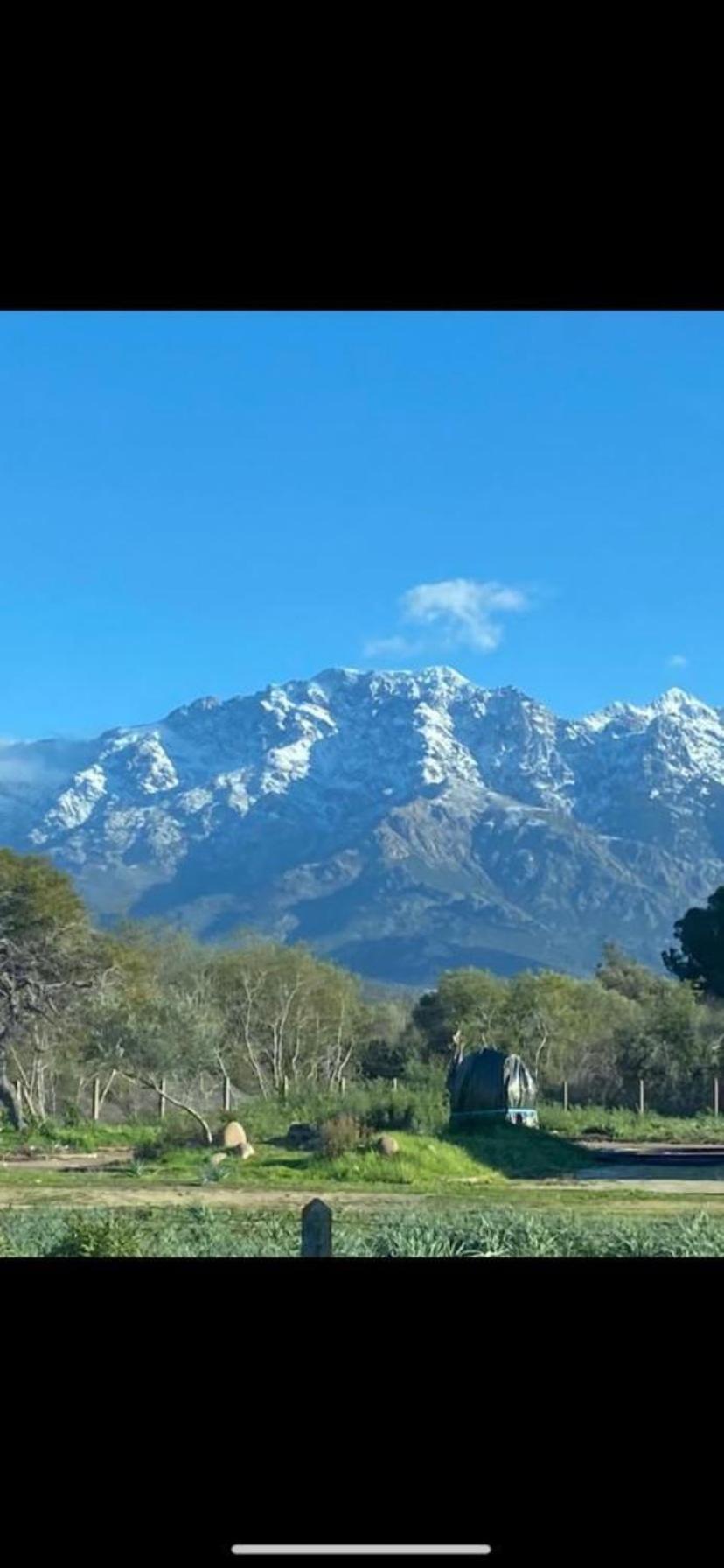 Apartmán Coeur De Calvi Calvi  Exteriér fotografie