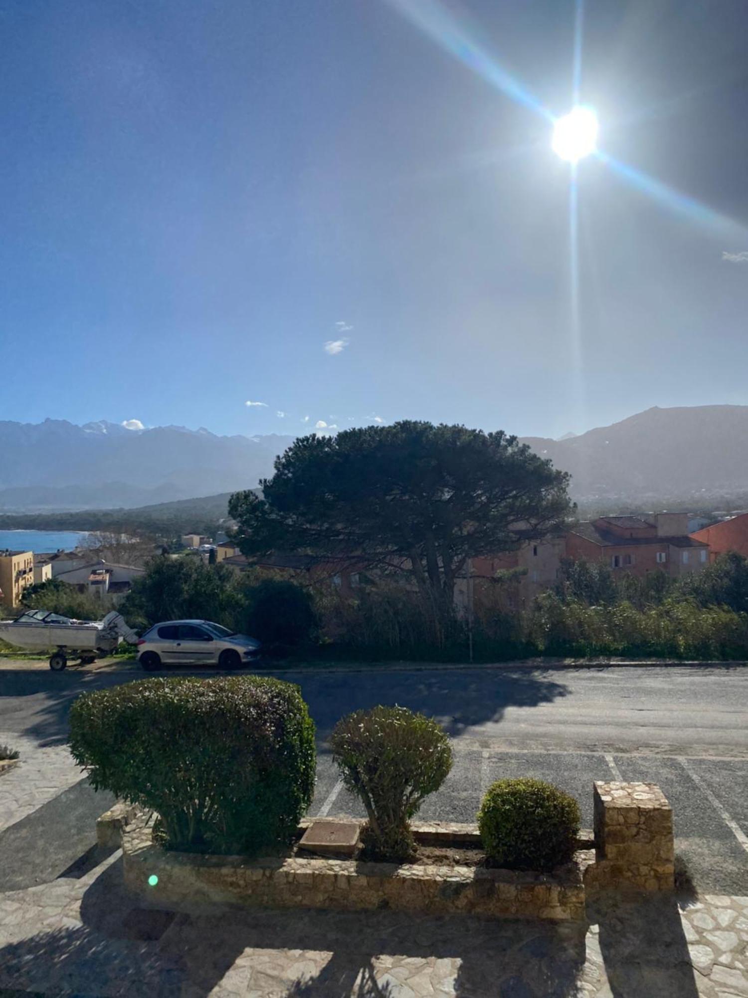 Apartmán Coeur De Calvi Calvi  Exteriér fotografie